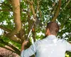 GARDENA SmartCut Ratschen-Astschere Produktbild-Vorschau 15