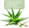 Riviera Holzhacker Aloe Vera Creme parabenfrei 75 ml Produktbild-Vorschau 10