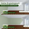 Wandfarbe Grün Salbeigrün Grau Matt Innenfarbe – Deckkraft Produktbild-Vorschau 6