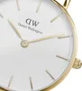 Daniel Wellington Petite Evergold Anteprima dell’immagine prodotto 11