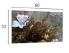 Glasschutzplatte für den Herd 80x52 Orchidea Produktbild-Vorschau 2