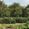 vidaXL Recinzione in rete metallica antracite 1,8 x 25 m in Anteprima dell’immagine prodotto 2