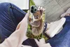 MuchoWow® Handyhülle Schutzhülle Hülle für iPhone 11 Pro Produktbild-Vorschau 3