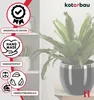 A plant in a pot is shown on a shelf, with various icons and text highlighting product features. Náhľad obrázku produktu