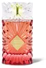 Woda perfumowana Sweet Heaven Cherry 100ml Gulf Orchid Podgląd zdjęcia produktu 2