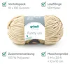 Gründl Wolle Funny uni Chenille Wolle 1 Knäuel 100 g, Beige Produktbild-Vorschau 11