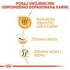 Royal Canin Bulldog Adult 12kg Anteprima dell’immagine prodotto 7