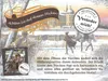 Aschenputtel Adventskalender Moritzburg – Papier, Produktbild-Vorschau 2