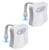 2 Stück Bewegungssensor-aktiviertes LED-Toilettenlicht aus Produktbild-Vorschau 1