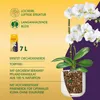 Seramis Spezial-Substrat für Orchideen 7 l mit Tongranulat Produktbild-Vorschau 2