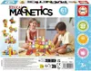 Jeu Educa Magnetics 61 Pièces Voir les images du produit 5