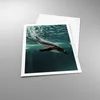 Poster - Poster ohne Rahmen - Tauchen Pinguin Gletscher - Produktbild-Vorschau 3
