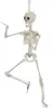 Dekoracja na Halloween szkielet biały 48 cm - jeden rozmiar Podgląd zdjęcia produktu 1