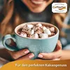 Coffeefair Premium Choco Gold Kakao 10 x 1kg, Kakaopulver Produktbild-Vorschau 4