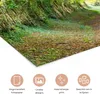 MuchoWow® Poster Wald - Baum - Tunnel 90x60 cm - Produktbild-Vorschau 2