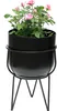 A potted rose plant in a black metal planter on a black metal stand against a white background. Náhled obrázku produktu