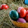COM-FOUR® 200g Bergwiesenheu für Osternester - Osterdeko Produktbild-Vorschau 3