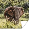 MuchoWow® Poster Elefant - Gras - Natur 50x50 cm - Produktbild-Vorschau 1