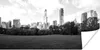 MuchoWow® Poster New York Skyline mit Central Park - Produktbild-Vorschau 1