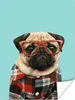 MuchoWow® Poster Hund - Hipster - Brille - Bluse 120x160 cm Produktbild-Vorschau 1