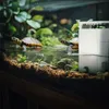 SunSun XN-600 - filtr wody dla żółwia i płazów SunSun Podgląd zdjęcia produktu 4
