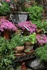 A collection of potted plants, including pink flowering plants and various green foliage, arranged on a tiered stand against a brick wall. Anteprima dell’immagine prodotto