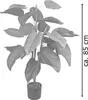 Decovego Künstlicher Aronstab (Araceae Arum Taro), Produktbild-Vorschau 6