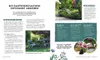 Keine Zeit zu Gärtnern - Blumenparadies mit wenig Aufwand Produktbild-Vorschau 6