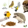A collage of various animals and food items, likely for pet or wildlife feeding. Produktbild-Vorschau