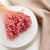 Flachs Getrocknete - (Leinen) - Rosa Produktbild-Vorschau 5