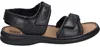 JOSEF SEIBEL Rafe | Sandales pour Hommes | noir Voir les images du produit 2