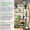 A multi-tiered plant stand with integrated grow lights, showcasing various potted plants. Produktbild-Vorschau
