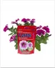 PLANTON S Mehrkomponentendünger für Surfinia und Petunia Produktbild-Vorschau 3