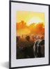 MuchoWow® Gerahmtes Poster Kühe - Sonnenuntergang - Wiese - Produktbild-Vorschau 1