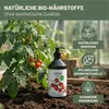 Green Home Love Nature  Tomatendünger 1 l, Flüssigdünger Produktbild-Vorschau 4