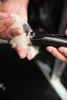 Ostrze do maszynki Wahl Pro Pet Trimmer Blade Fidela 0,4 mm Podgląd zdjęcia produktu 7