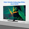 A television screen displaying a split image of a flower and leaves, with text overlays indicating 'Standard' and 'QLED'. The TV is placed on a stand against a white wall. Produktbild-Vorschau