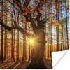 MuchoWow® Poster Herbst - Sonne - Baum 75x75 cm - Wand Produktbild-Vorschau 1