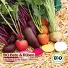 Samenliebe  Rote Bete Samen | Rote Beete - bunt - Produktbild-Vorschau 4