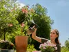 GARDENA Sprühflasche schwarz, grau Produktbild-Vorschau 13