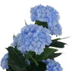 Künstliche Hortensie MCW-Q86, Dekopflanze Kunsthortensie Produktbild-Vorschau 5