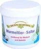 Murmeltier Salbe im Tiegel 200 ml Produktbild-Vorschau 5