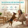 HUND IST KÖNIG Hundewindeln für Rüden [3 Stk], S (Taille Produktbild-Vorschau 4