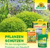Neudorff Neudomon BuchsbaumzünslerFalle 1 Stk. Produktbild-Vorschau 7