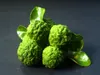 Ponthier BERGAMOTTEN PÜREE Zitrus-Frucht-Püree 1KG Produktbild-Vorschau 4