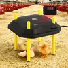Ikodm Podgrzewacz dla piskląt 25 x 25 cm, 30 W, z Podgląd zdjęcia produktu 13