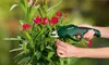 Hands using a cordless garden shear to trim a plant with red flowers. Produktbild-Vorschau
