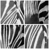 Poster - Poster ohne Rahmen - Tiere Zebra gestreift - 60x60 Produktbild-Vorschau 8