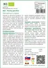 SAFLAX - BIO - Plochý petržlen - Petroselinum crispum - 600 Náhľad obrázku produktu 3