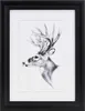 A framed black and white drawing of a deer's head. Produktbild-Vorschau